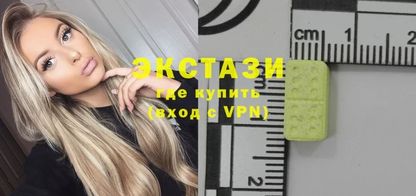 ECSTASY Богородицк