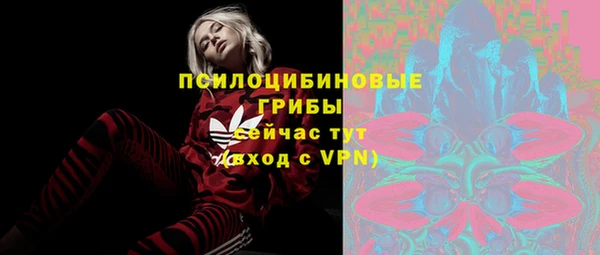 ECSTASY Богородицк