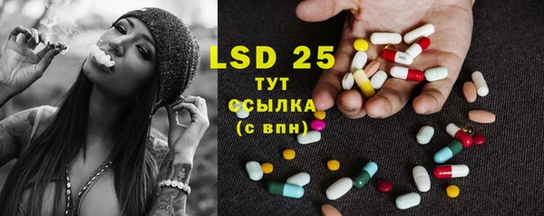 PSILOCYBIN Богданович